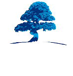 Bonsaï bleu stylisé aux nuances cyan et marine sur une fine ligne d'horizon, design zen et minimaliste.